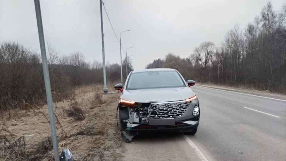 Фото: Комитет лесного хозяйства Московской области