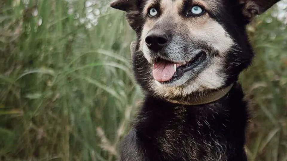 Фото: личный архив Евгении Максимовой