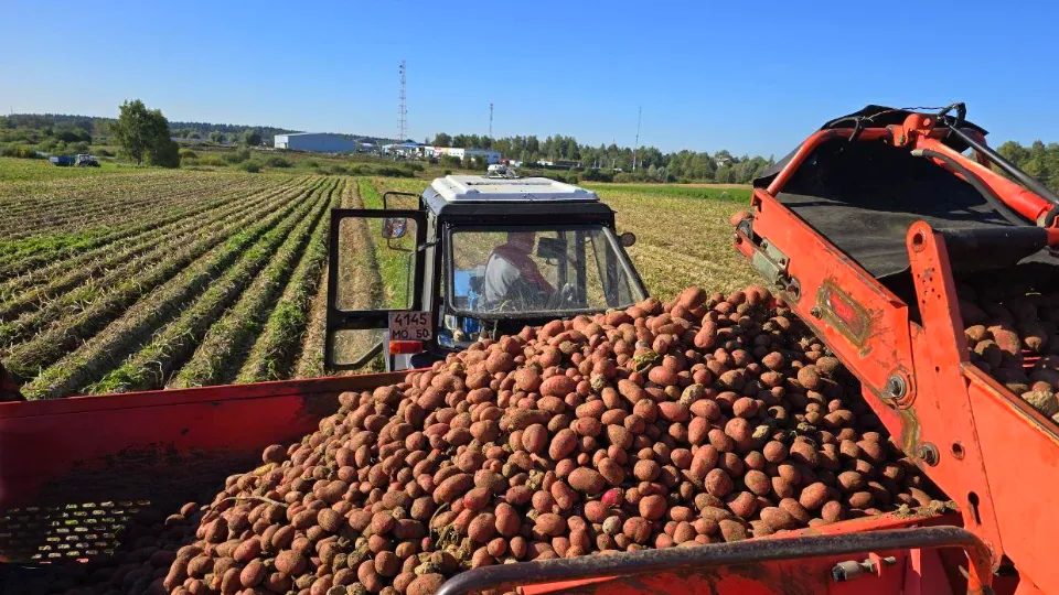 Фото: REGIONS/Яна Шаливская