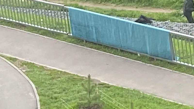 В Люберцах на набережной вывесили ковер