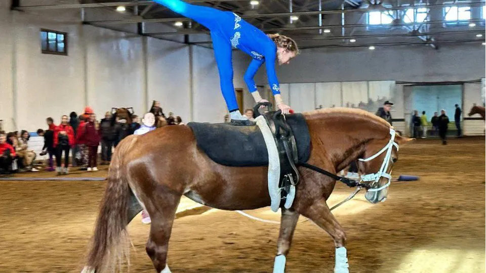 Фото: t.me/shorBelka