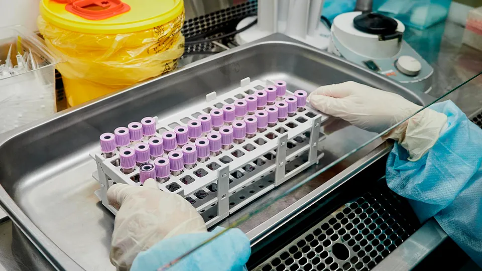 Фото: ГБУЗ Московской области ЦПБ СПИД