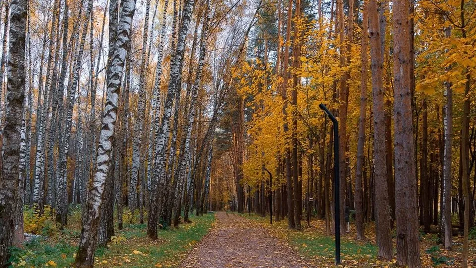 Фото: Андрей Валиков