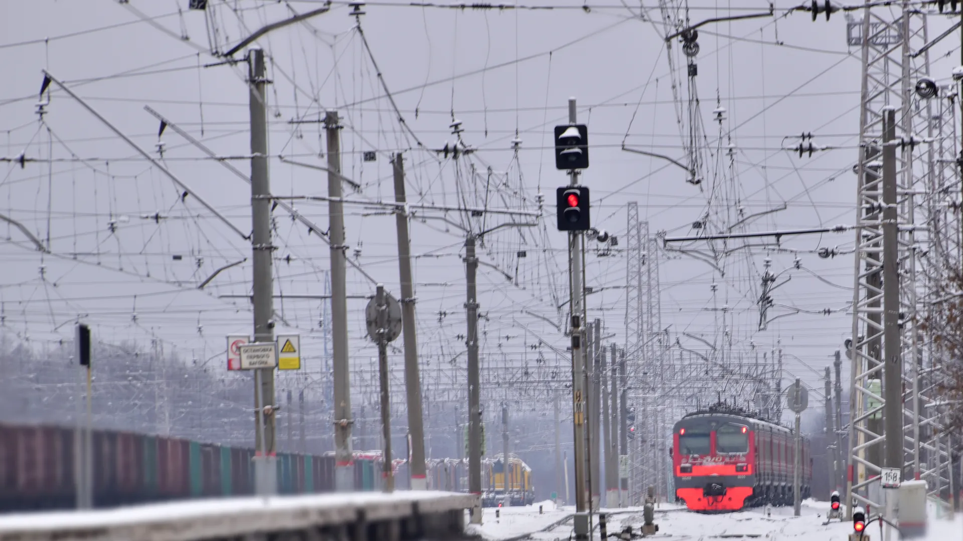 Фото: Оксана Лапшина
