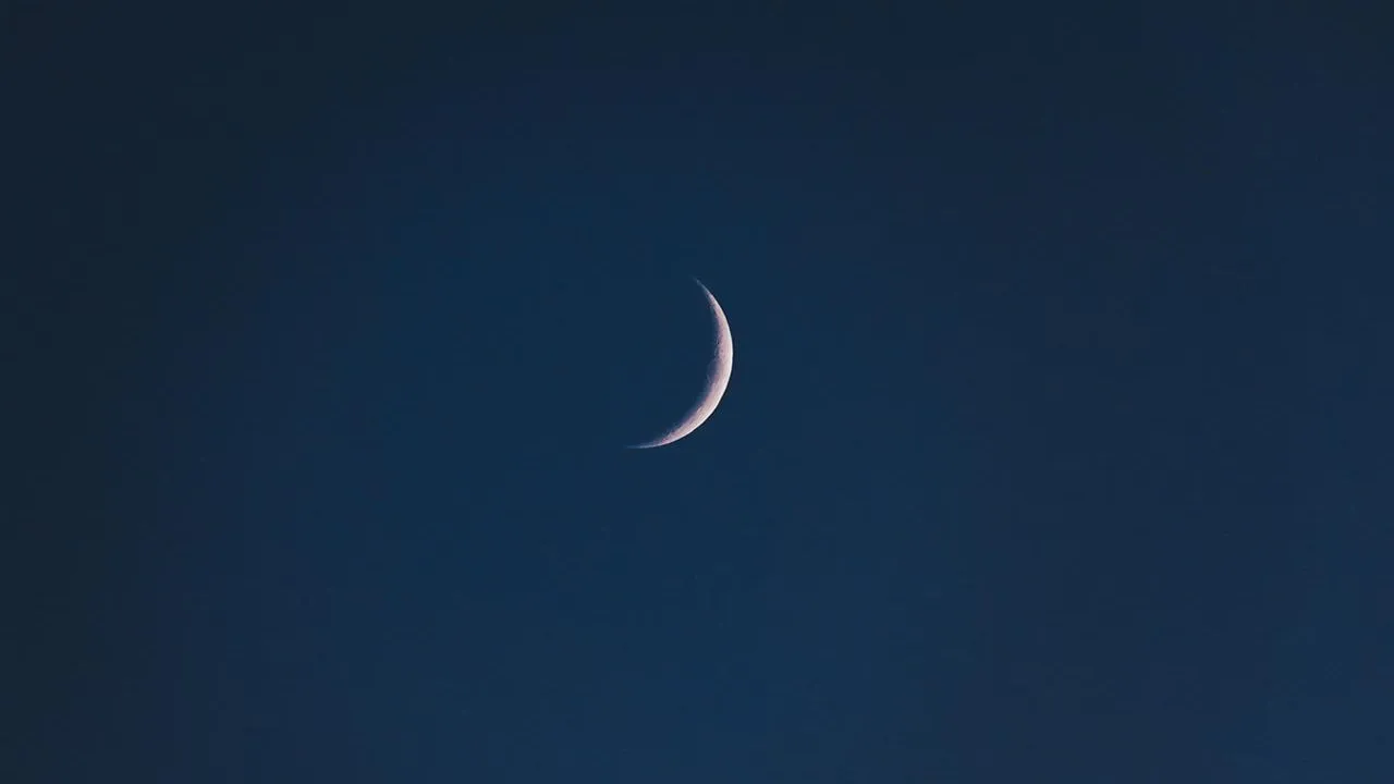 istockphoto.com/Islam Daghestani