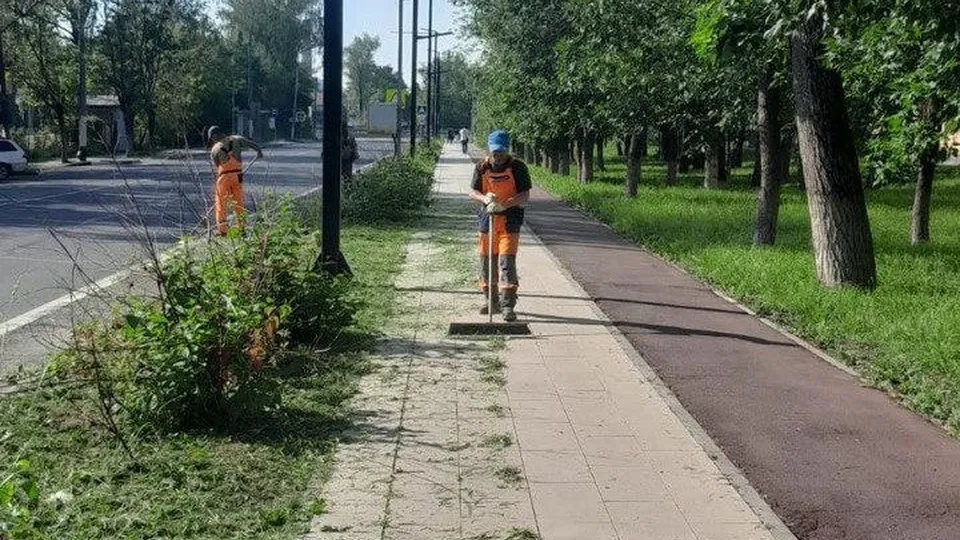 Фото: пресс-служба администрации г.о. Долгопрудный