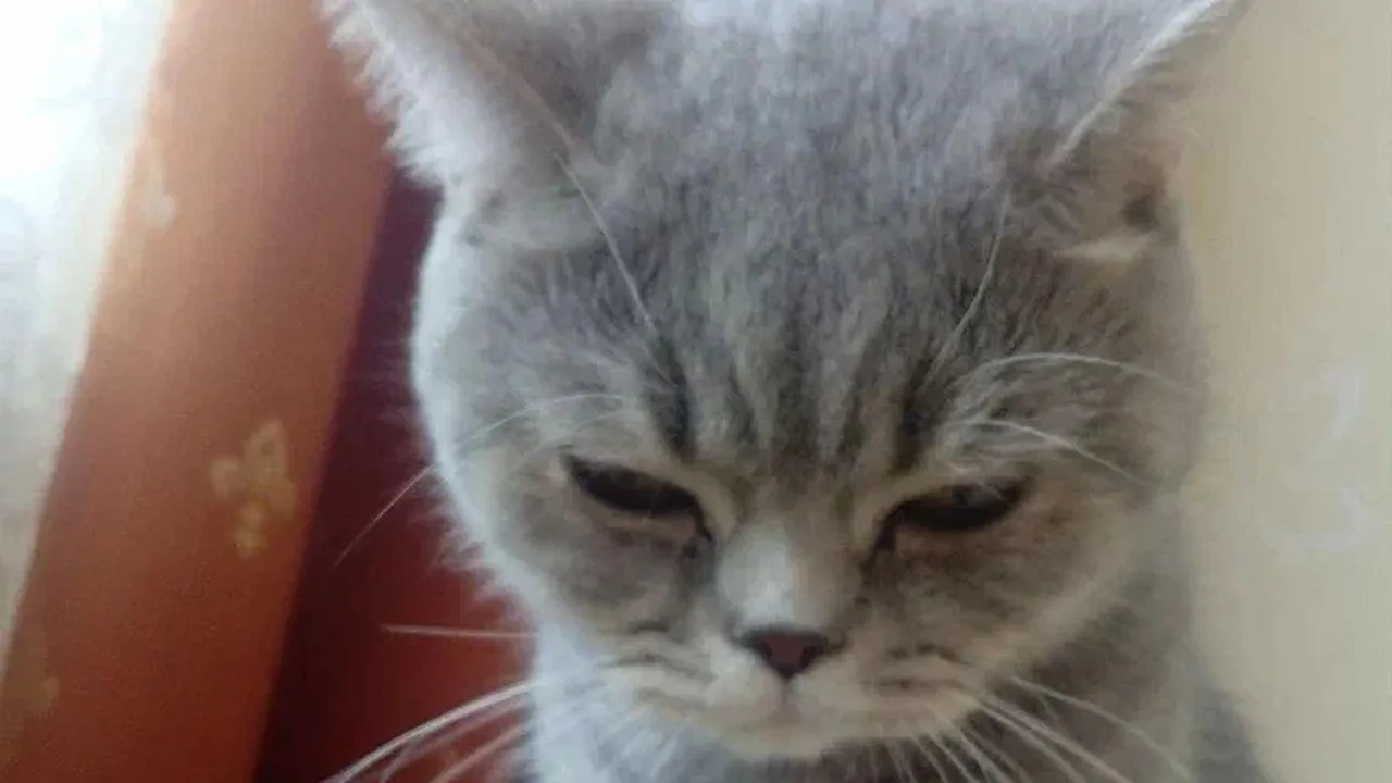 REGIONS/Наталья Надточая