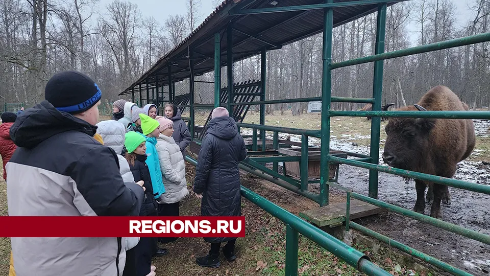 Фото: REGIONS/Александр Степушкин