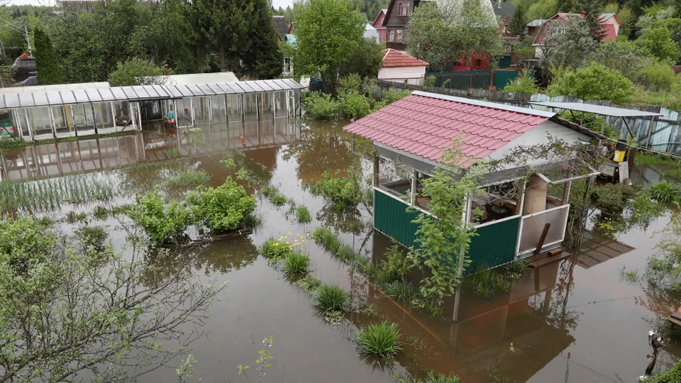Фото: ТАСС/Владимир Гердо