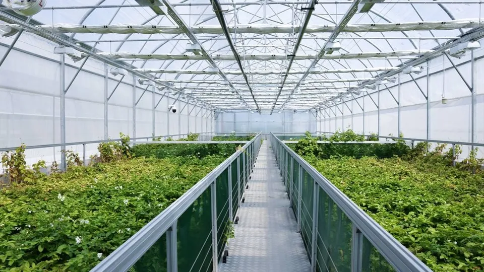 Фото: пресс-служба губернатора Московской области