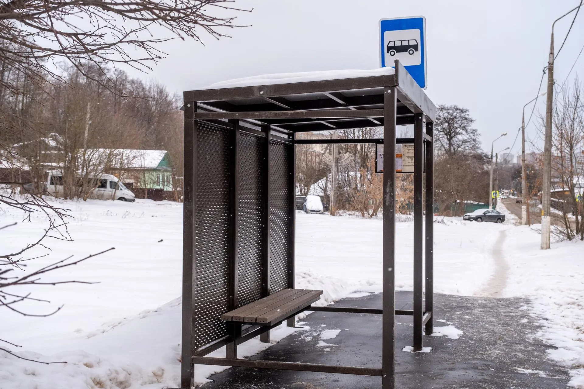 Антон Шаманин