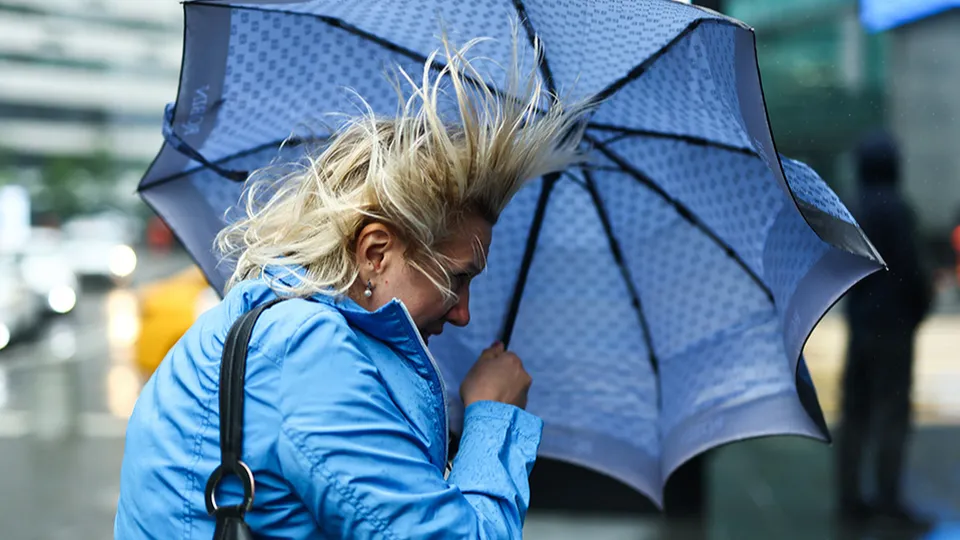 Фото: ТАСС/Михаил Терещенко