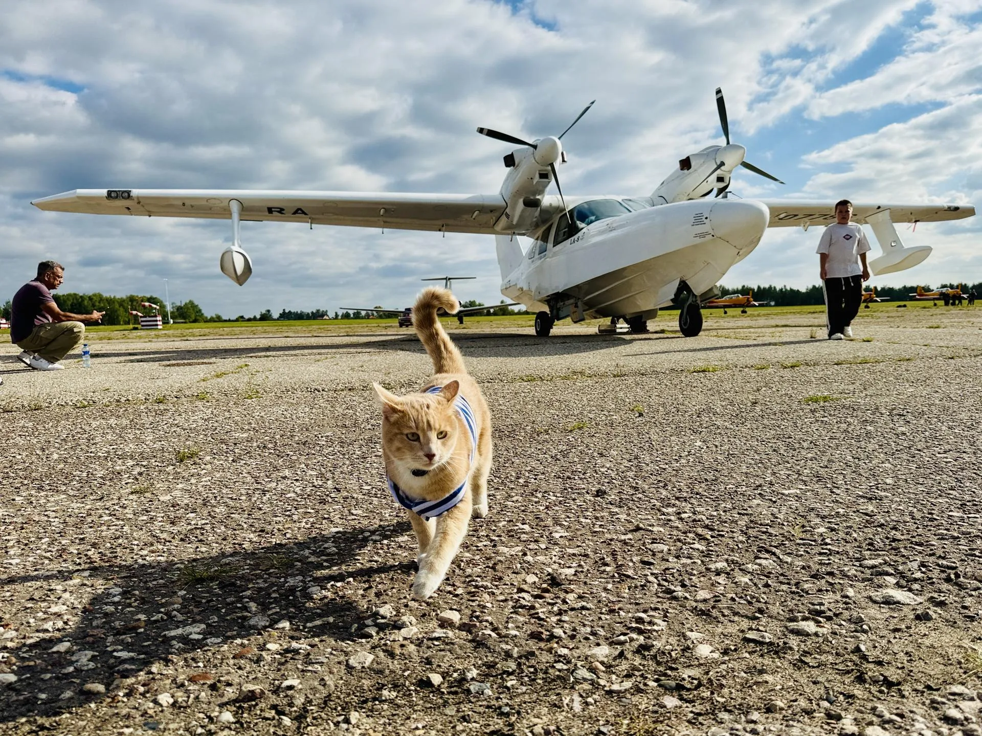 Фото: Медиабанк Подмосковья/Ольга Стаферова