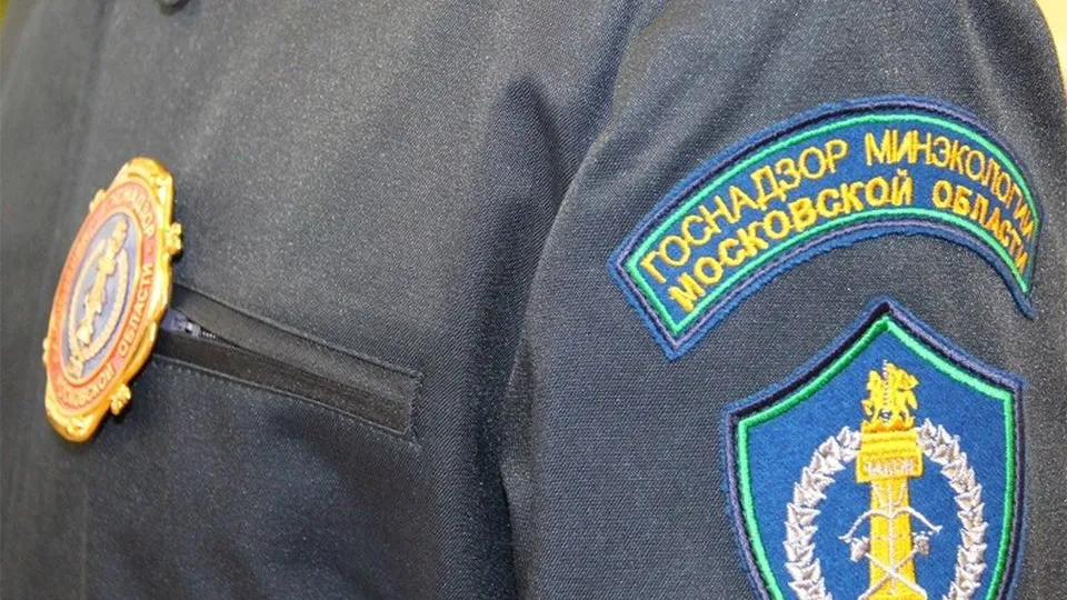 Фото: Министерство экологии и природопользования Московской области
