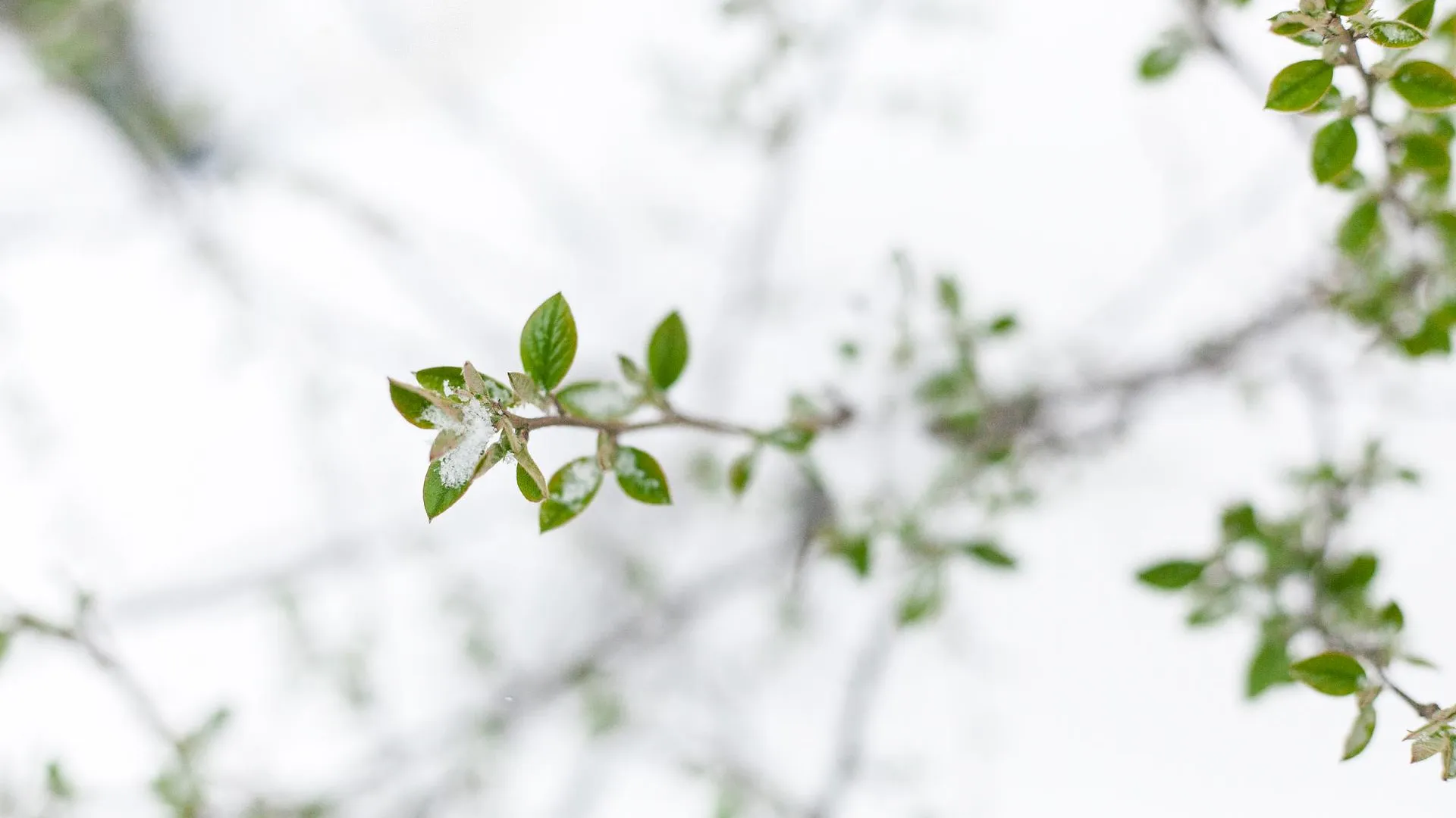 медиасток.рф