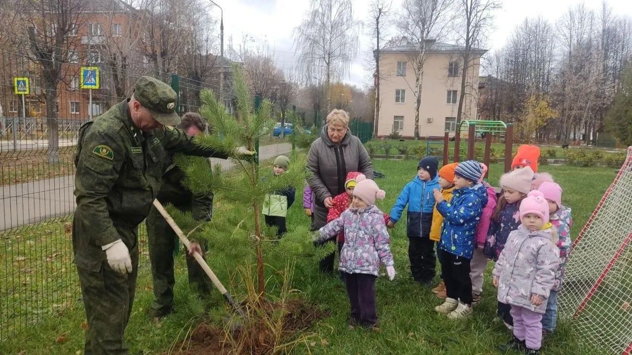 Фото: Комитет лесного хозяйства МО