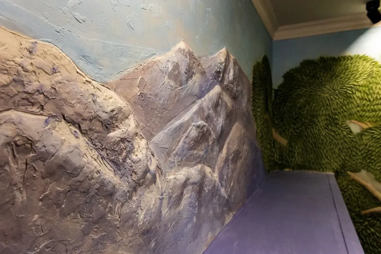 пресс-служба губернатора и правительства Московской области