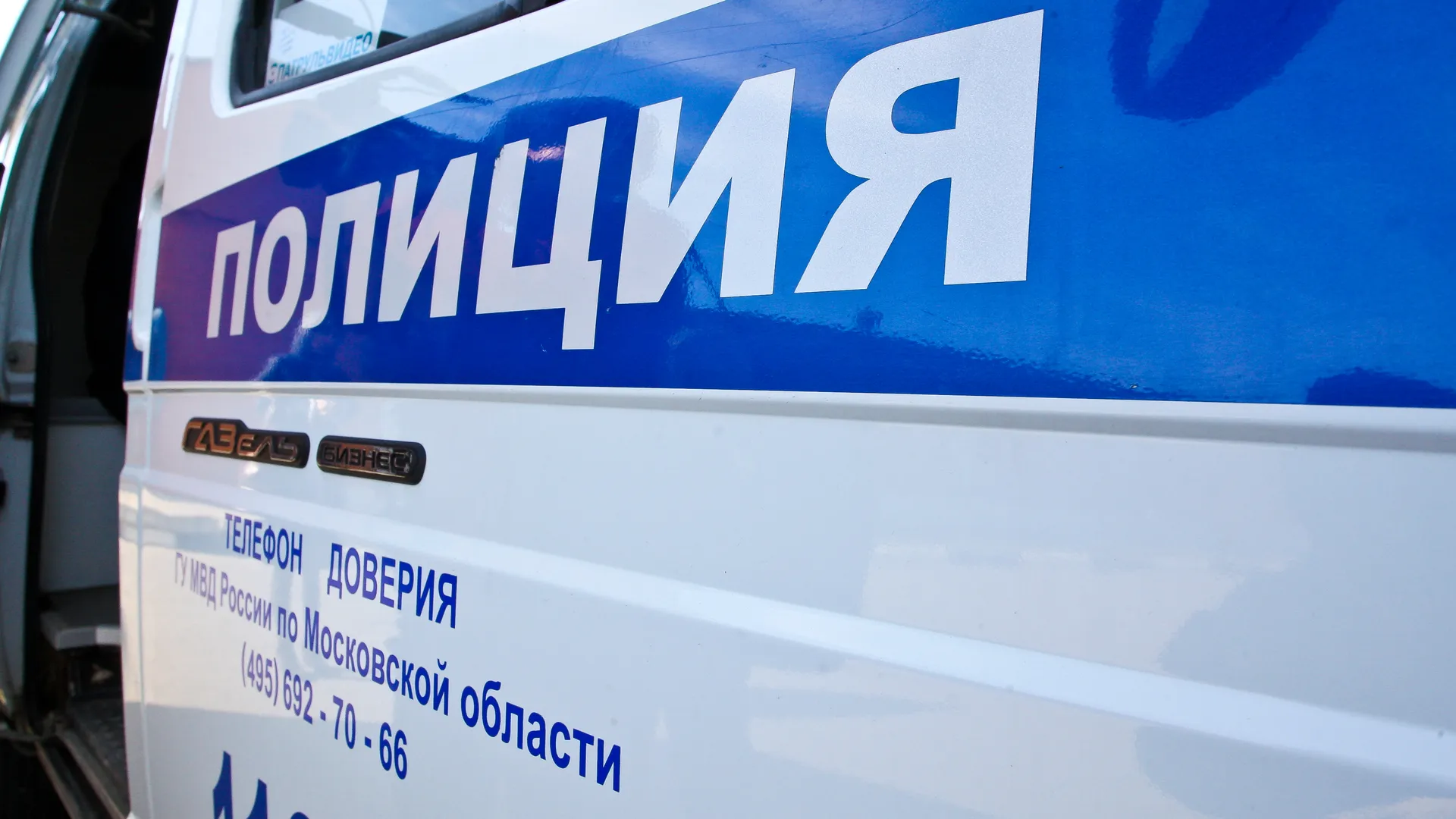 Фото: Владимир Лебедев