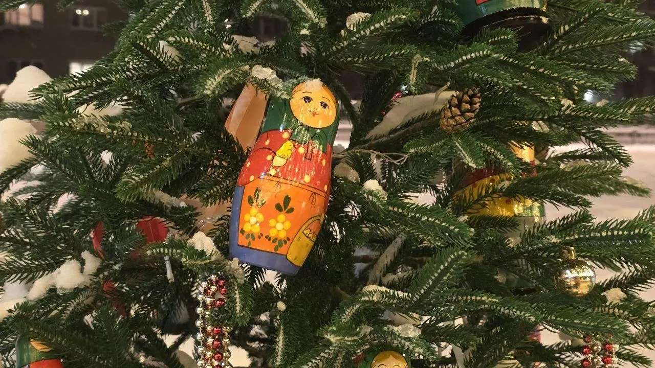 REGIONS/Яна Шаливская