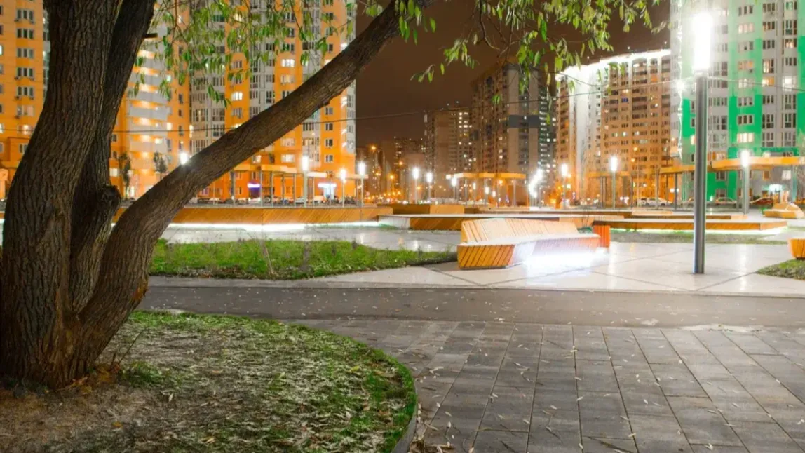 Фото: пресс-служба Министерства благоустройства Московской области