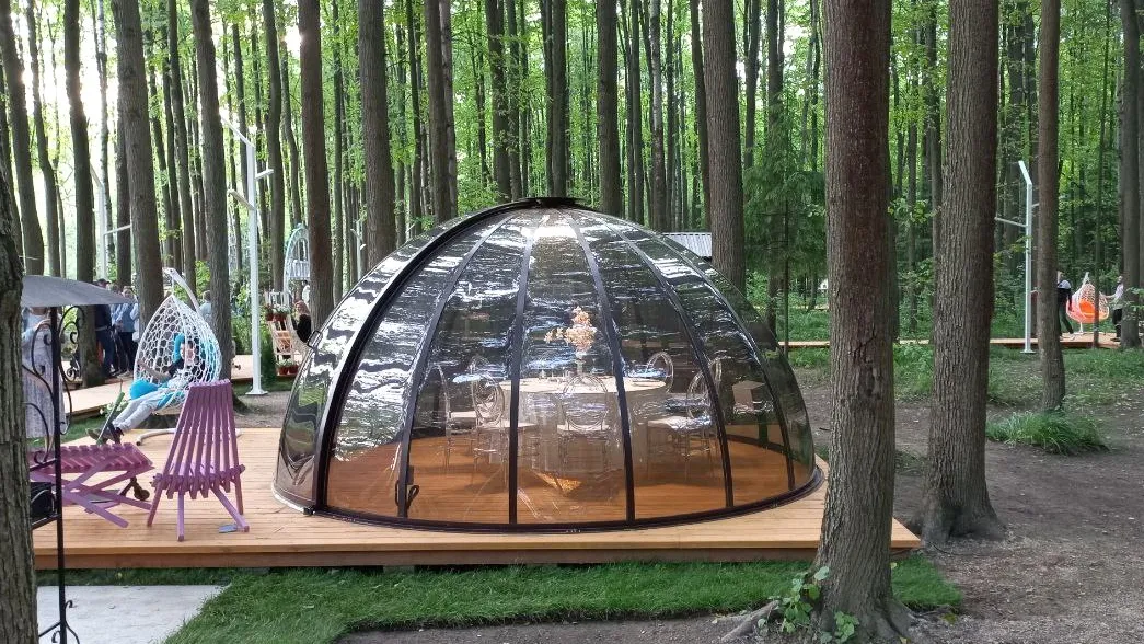 Фото: Олег Книжник