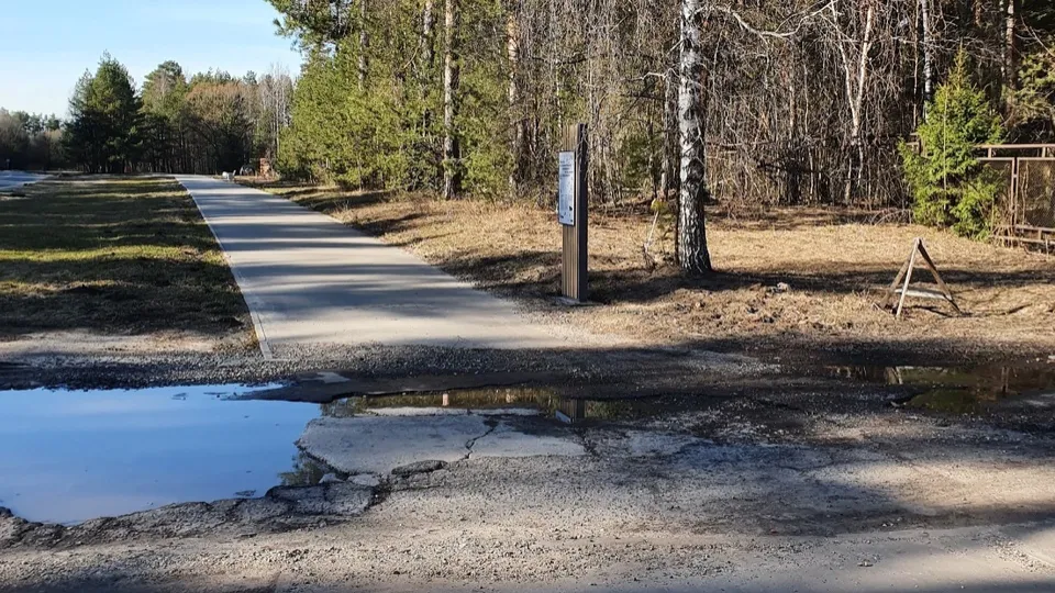 Фото: t.me/chernogolovkavk