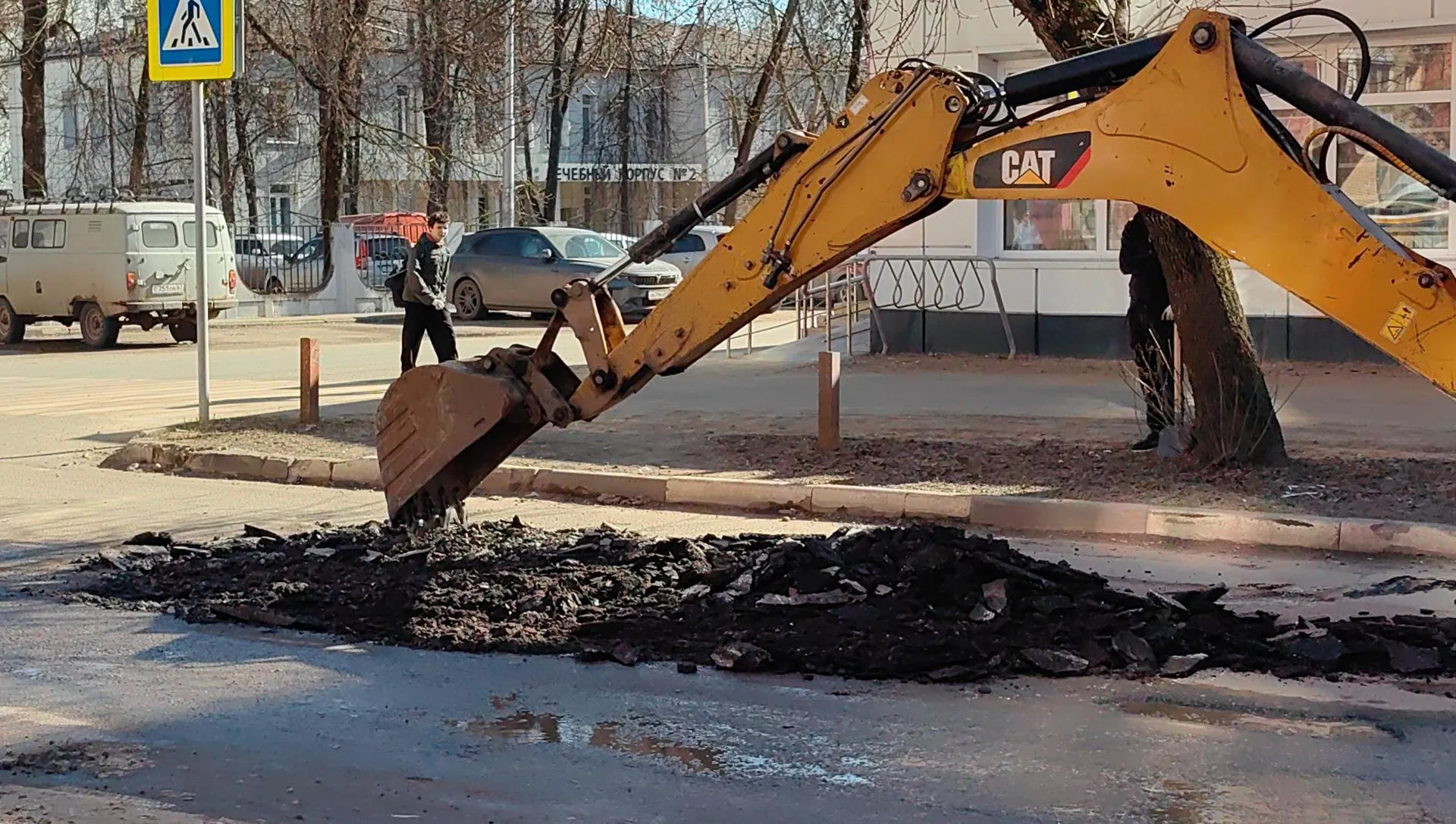 Елена Катасонова