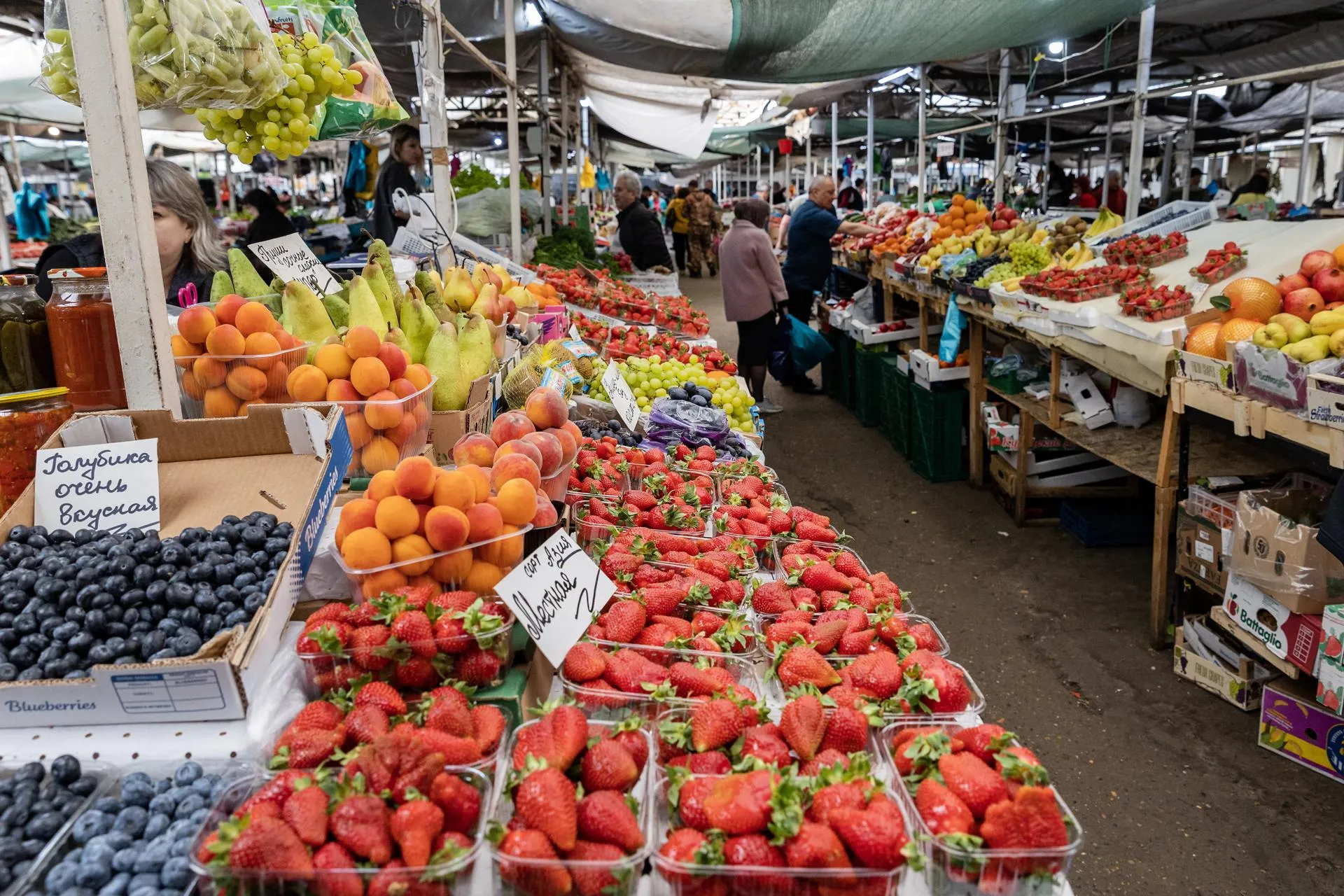 Aleksey Smyshlyaev/Global Look Press