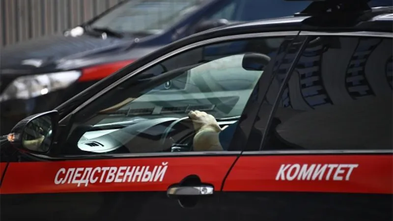  Следователи проводят проверку по факту гибели девочки в своей кроватке под Ногинском