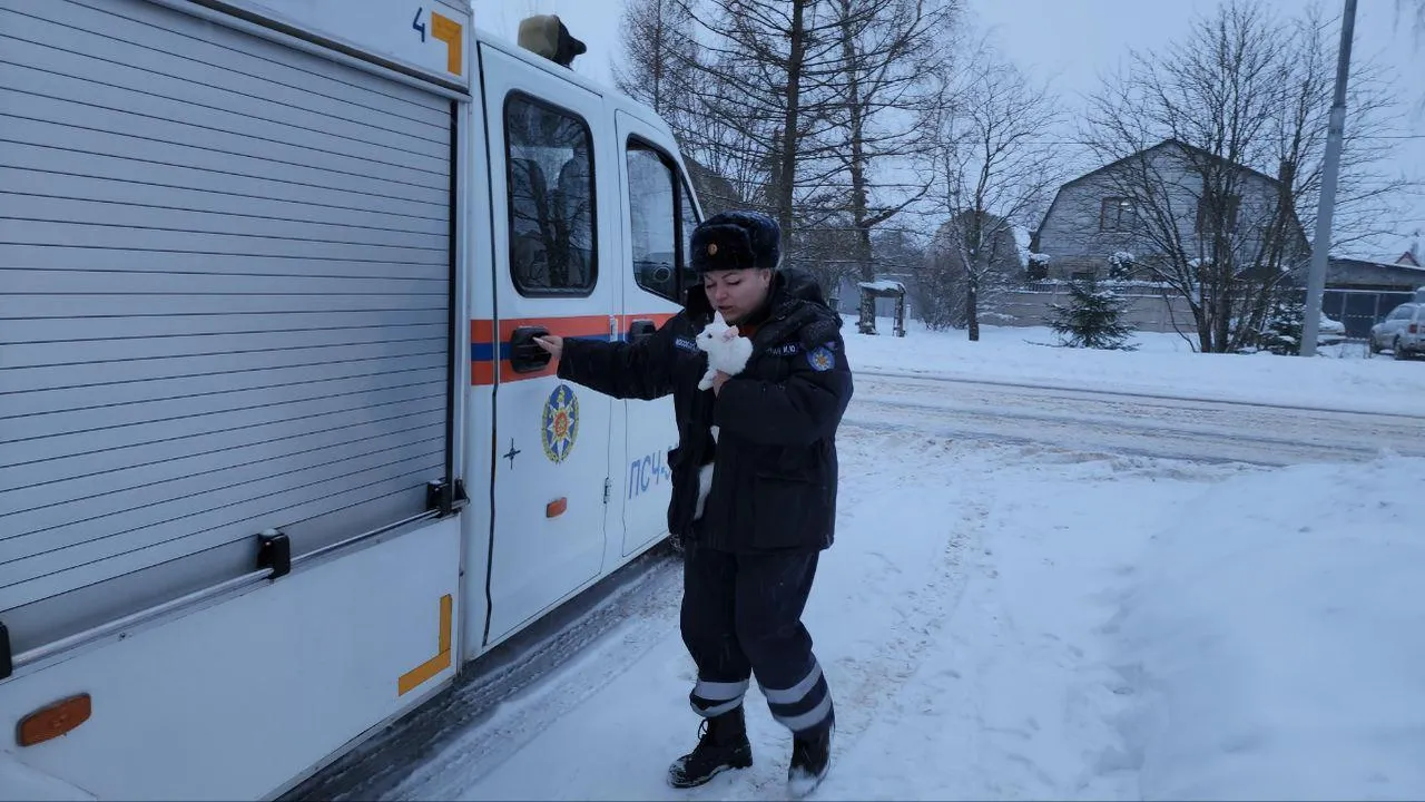 Яна Шаливская