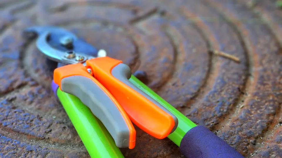 Фото: МедиаБанк Подмосковья/Полина Пахомова