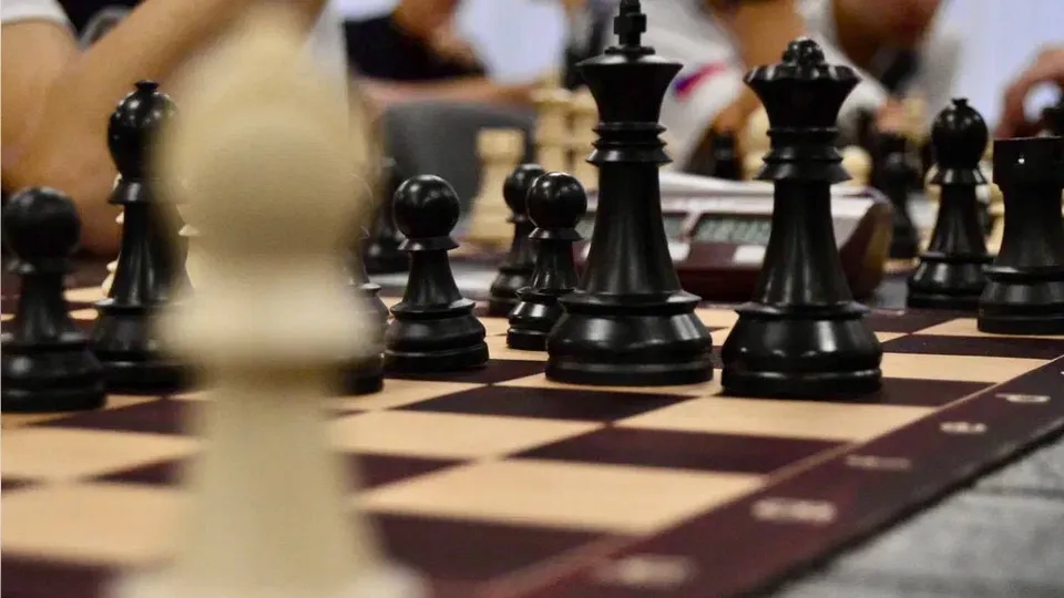 Фото: пресс-служба администрации г.о. Домодедово