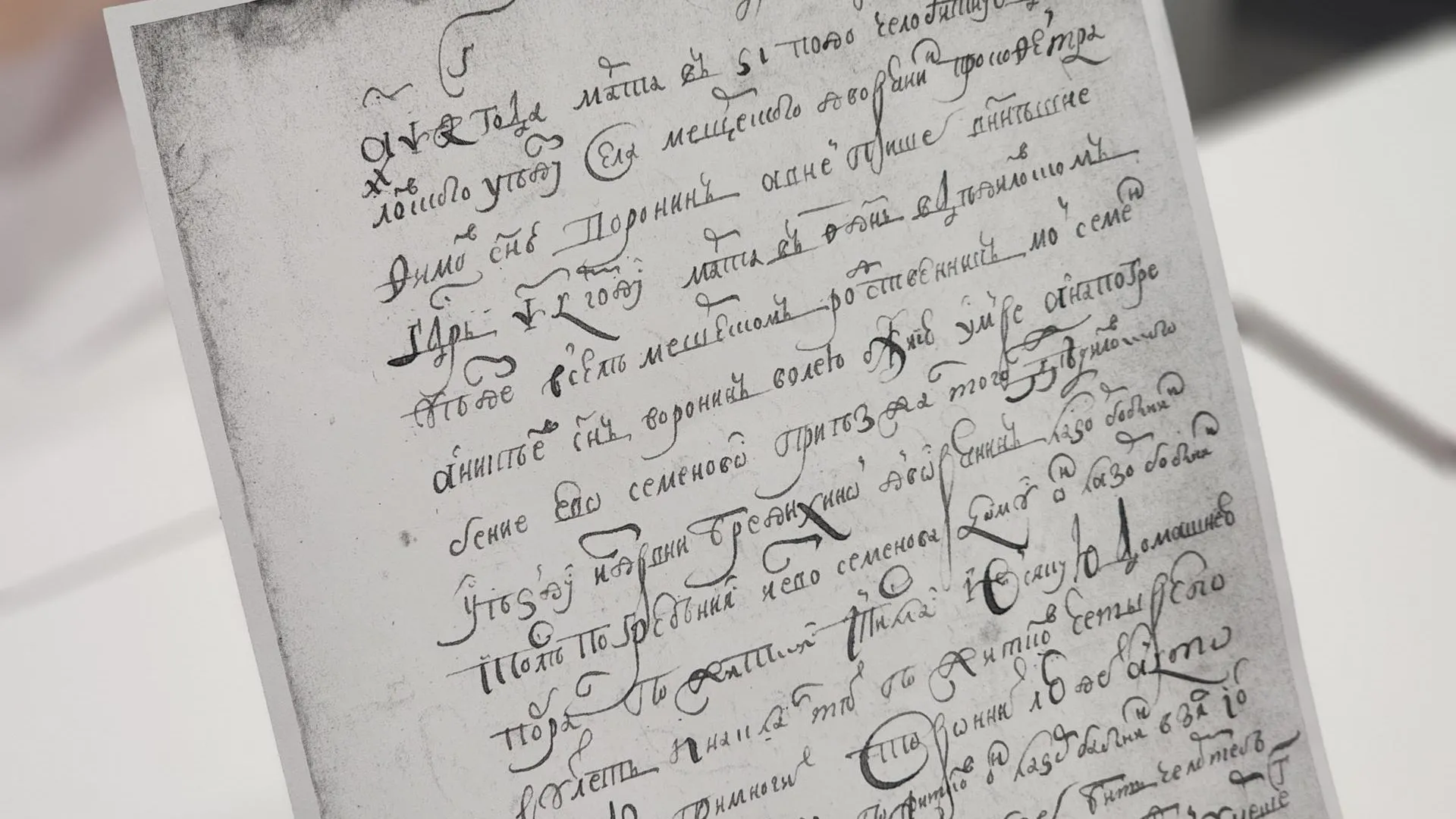 Фото: Полина Пахомова