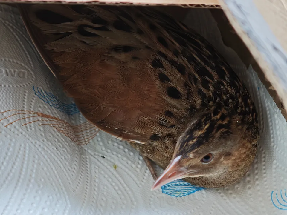 Фото: vk.com/Александр Храмов