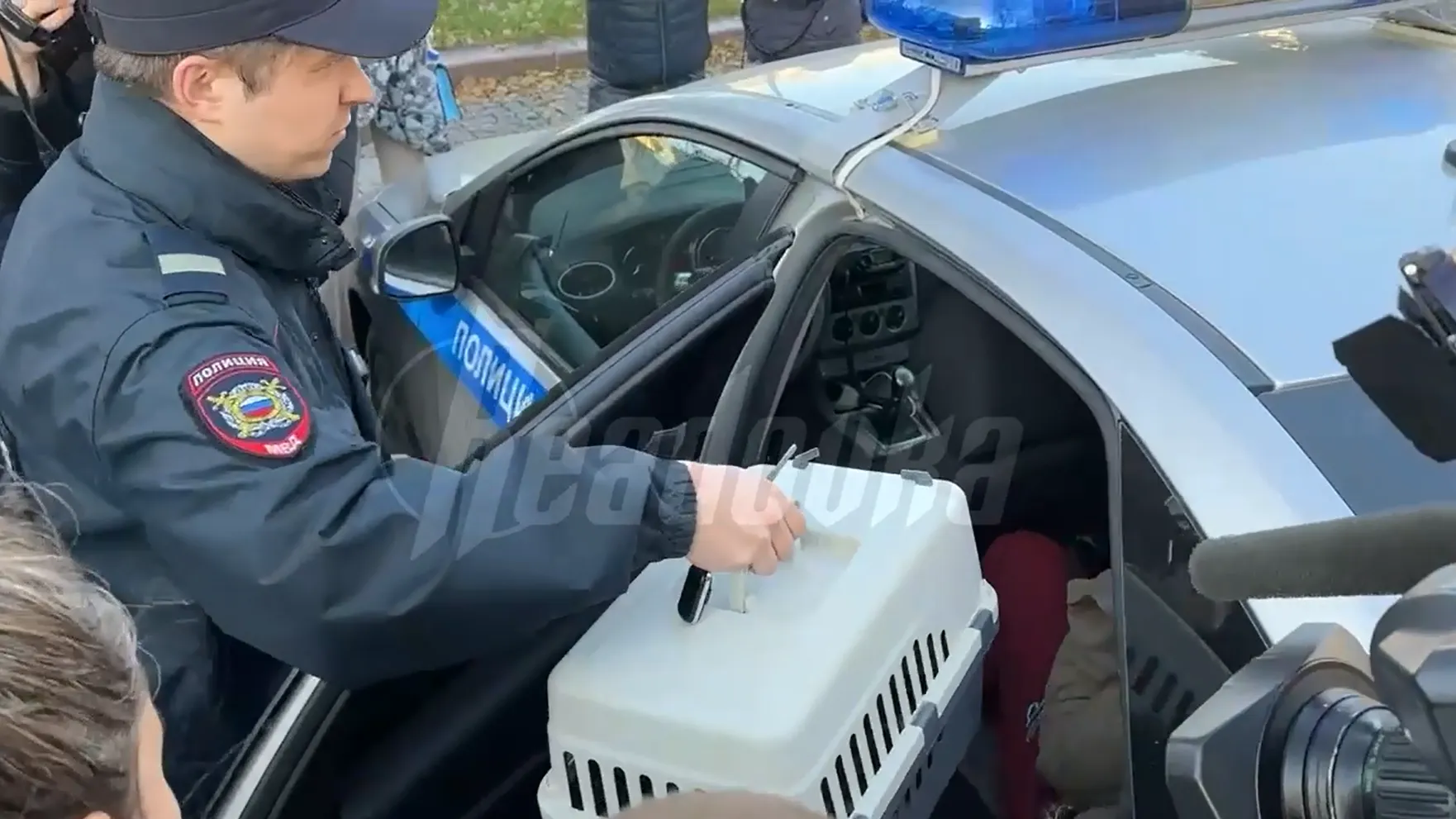 скриншот из видео