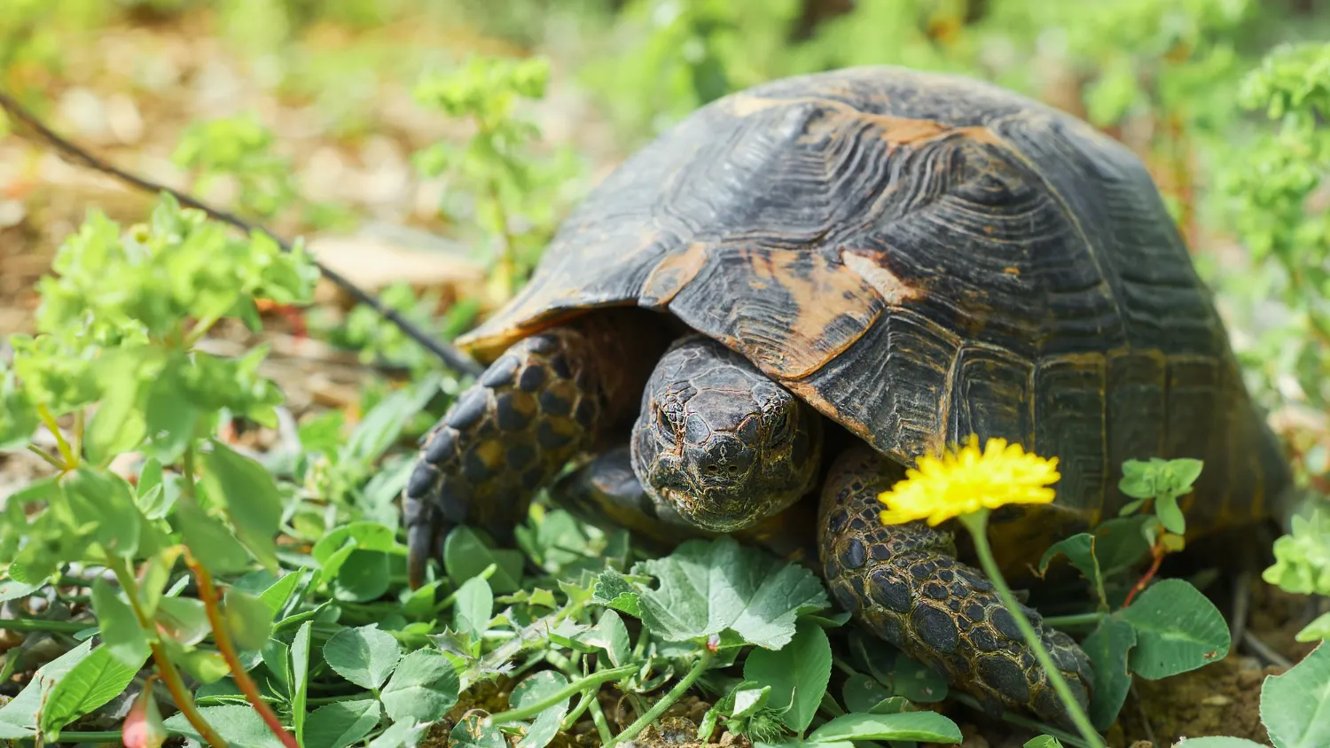 Фото: freepik.com