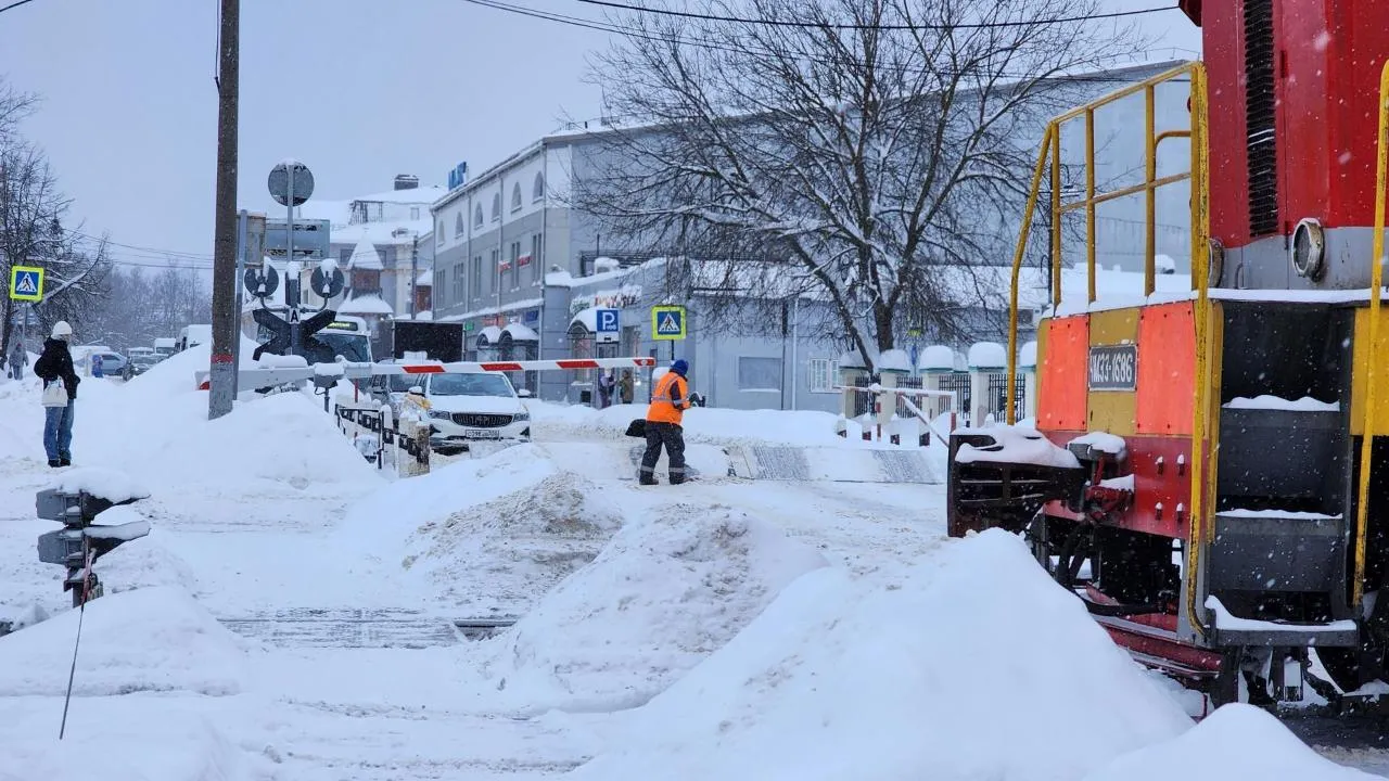 Елена Шумакова