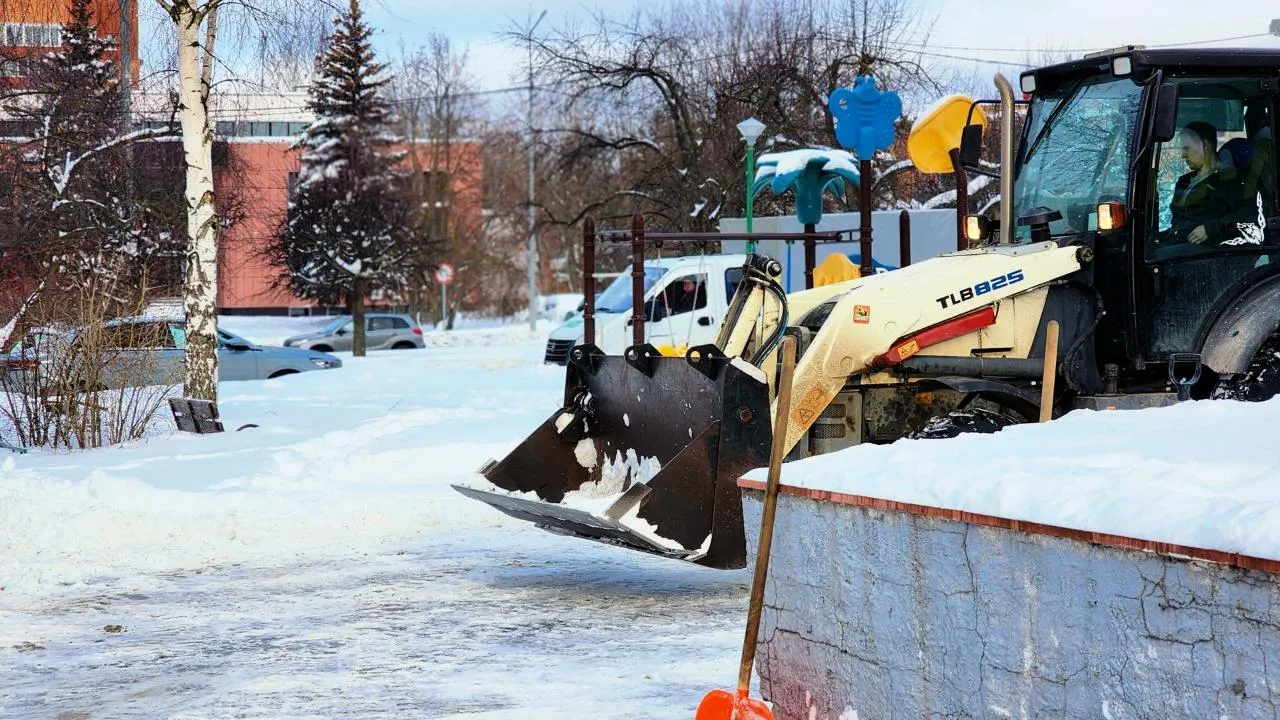 REGIONS/Полина Пахомова