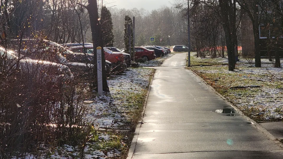 Фото: МедиаБанк Подмосковья/Иван Петрушин