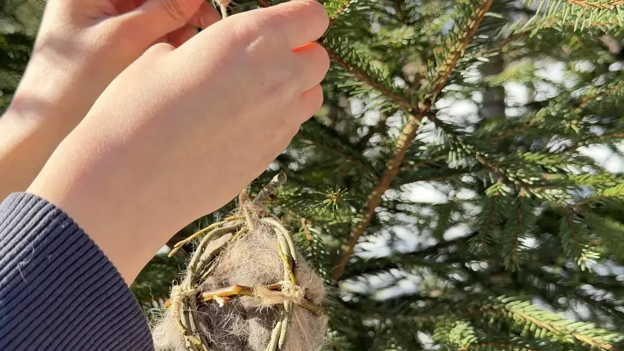 пресс-служба нацпарка "Лосиный остров"