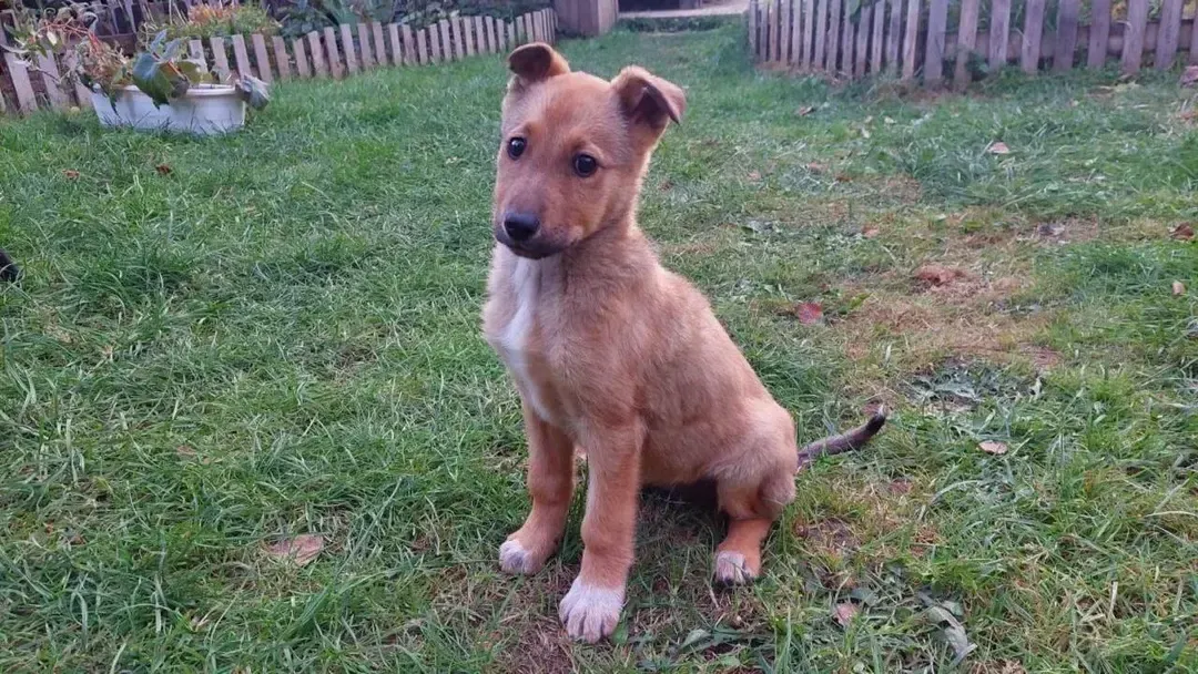 Источник: Олег Герасимов