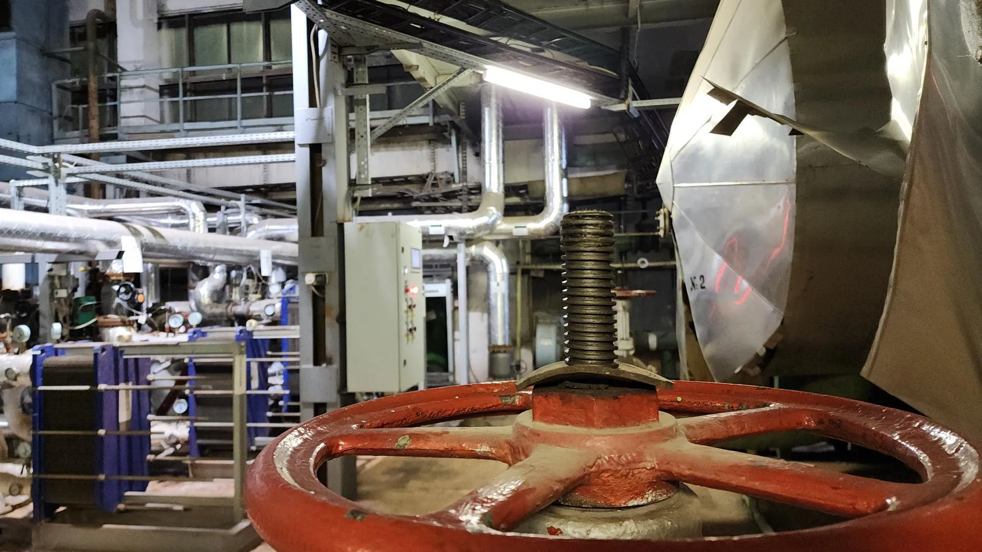 Фото: Нина Басистая