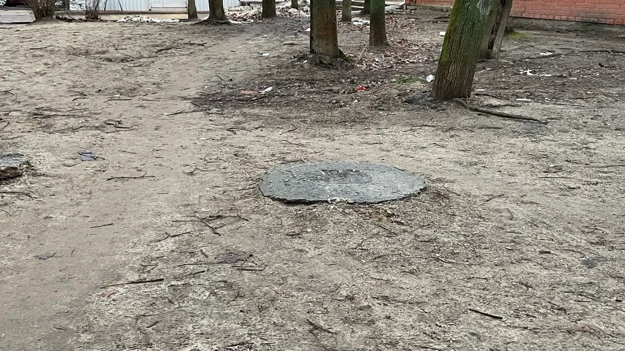 Фото: МедиаБанк Подмосковья/Елена Лепешкина