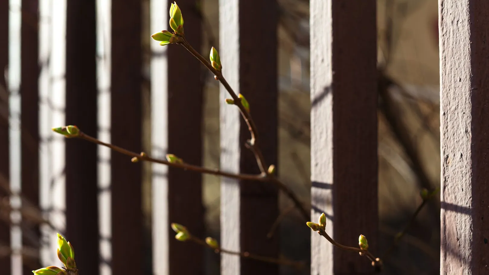 медиасток.рф