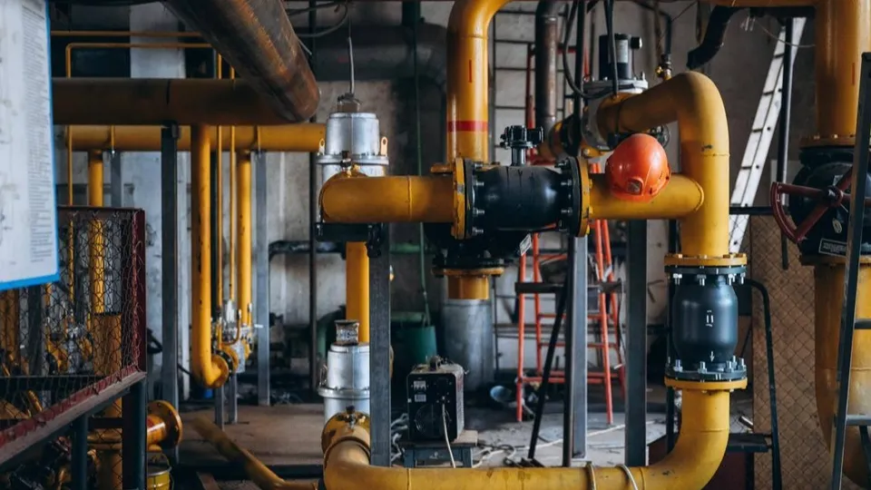 Фото: пресс-служба администрации г.о. Щелково