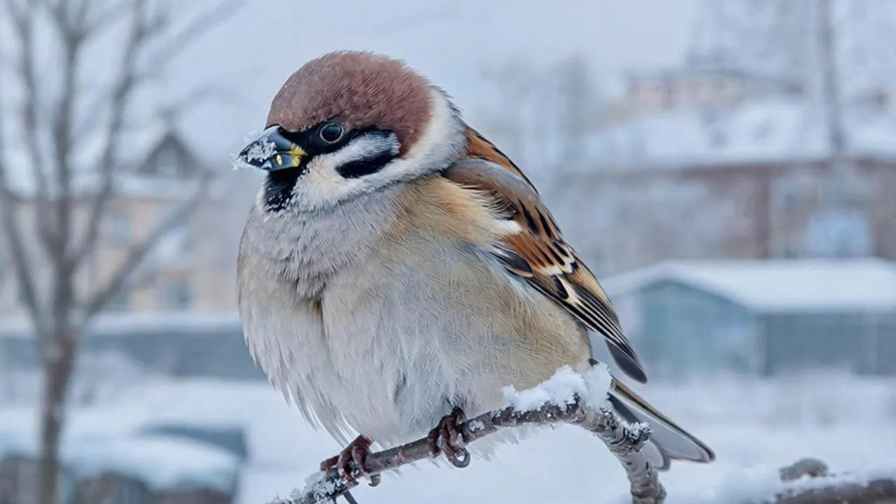 REGIONS/Сгенерировано нейросетью