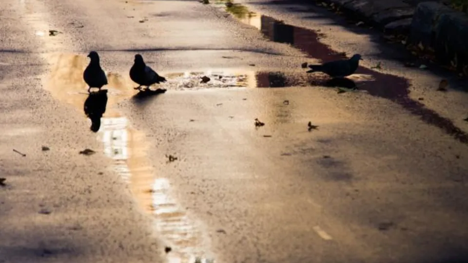 Фото: REGIONS/Владимир Ерастов