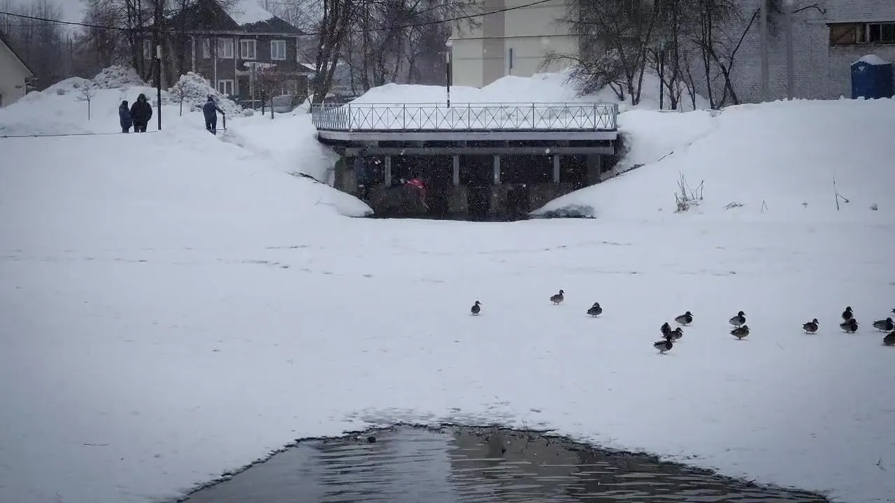 МедиаБанк Подмосковья/Ольга Антонова