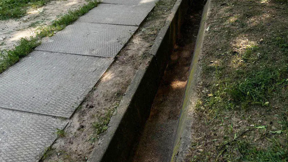 Фото: пресс-служба администрации г.о. Пушкинский