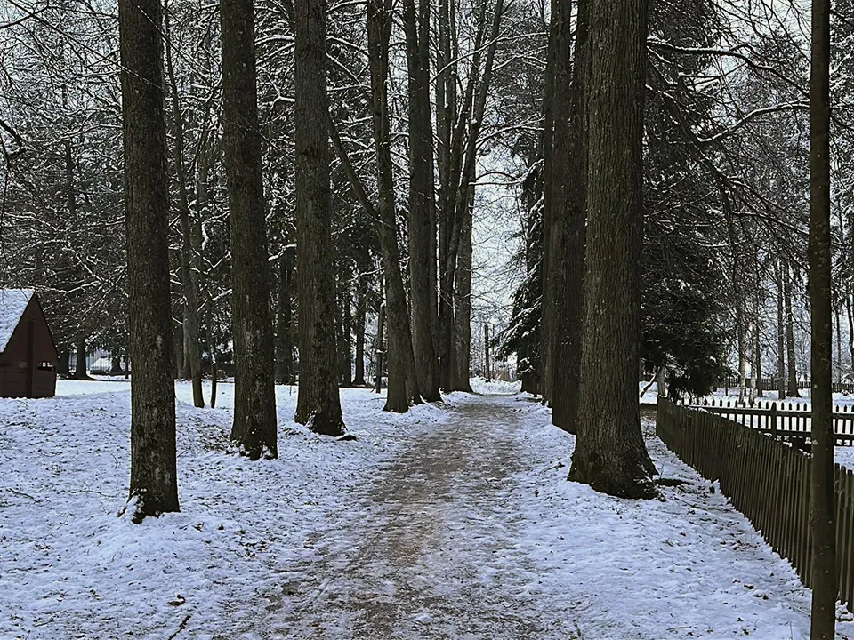 Фото: МедиаБанк Подмосковья/Кристина Тришина
